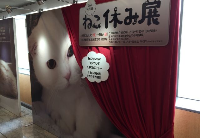 日本橋三越「ねこ・猫・ネコ フェスティバル」PECO NEKO館レポート＜GWねこ祭り②＞