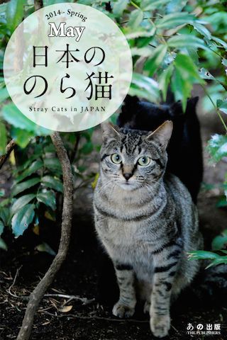 『日本ののら猫』